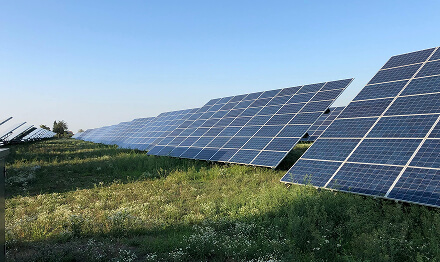 Sustainability